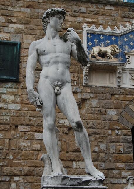 Wie dem auch sei. Dieser vereinigt alle Attribute miteinander. Es ist der David aus der biblischen Geschichte, den Michelangelo in einem Geniestreich aus einem Marmorblock, fünf Meter groß, formvollendet schuf.