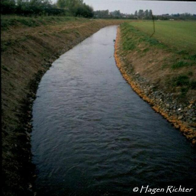 Wietze nach ihrer Begradigung in den 1970er Jahren (Foto: Dia Archiv Hagen Richter)