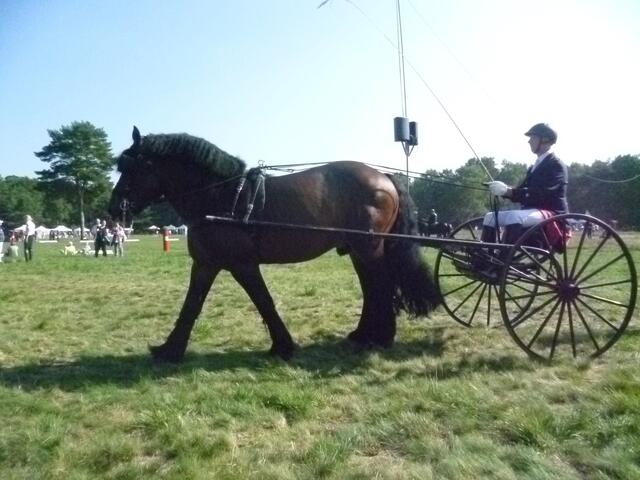 Traberwagenquadrille