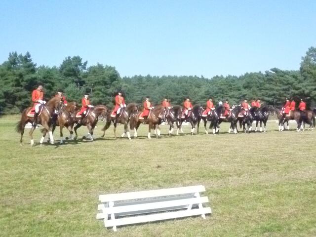 Reitvorführungen mit Hengsten