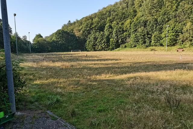 Blick auf den ehemaligen SVL - Hartplatz, der inzwischen kniehoch zugewuchert ist, auf dem eine neue Kindertagesstätte entstehen soll.
