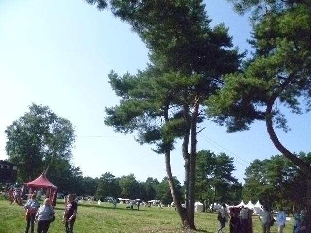 so ein riesiges Gelände mit 2 Reitplätzen und vielen Verkaufsständen