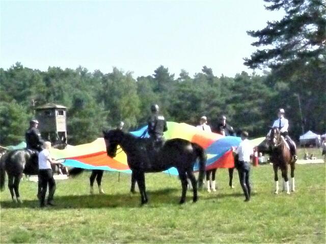 berittene Polizei- Pferdeausbildung