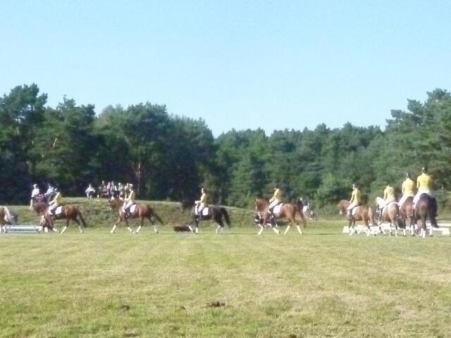 Ponyquadrille
