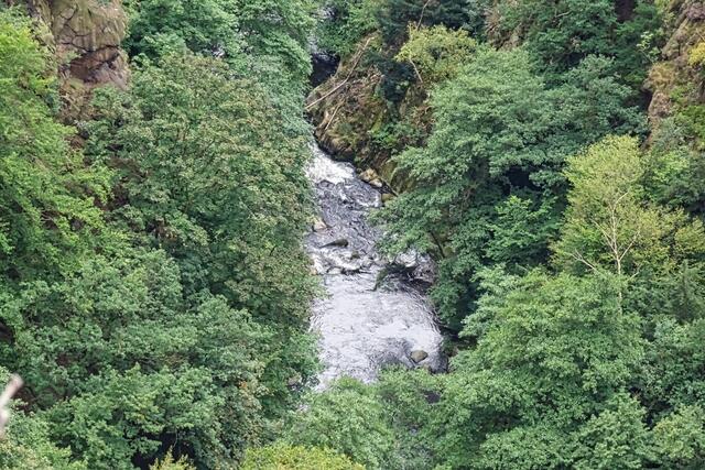 die Bode zwischen Königsruh und Bodekessel
