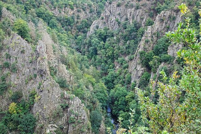 Bodetal mit Bode