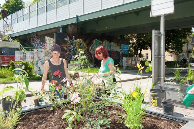 Mit Unterstützung des Gartenbauamtes konnten Mini-Gärten entstehen, welche von den Bürger*innen bepflanzt wurden