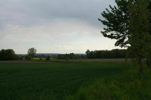 Auf dem Kirchberg. Foto: Markus Bachmann | Foto: Markus Bachmann