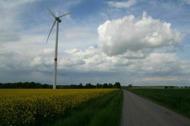 Blick vom Kirchberg nach Osten Richtung Münstedt. Foto: Markus Bachmann | Foto: Markus Bachmann
