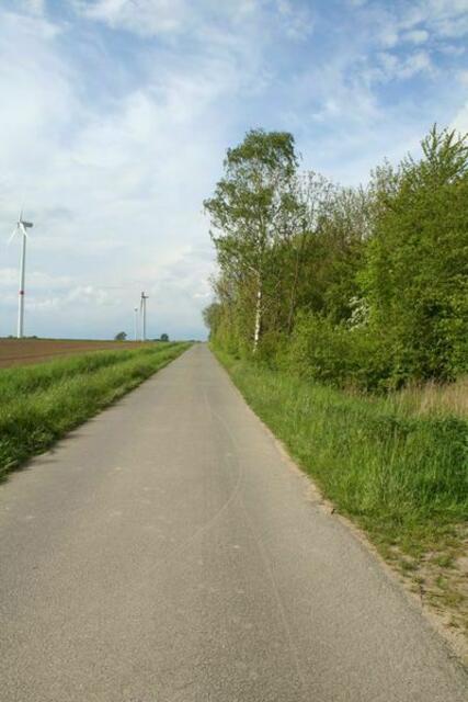 Münstedter Weg. Foto: Markus Bachmann | Foto: Markus Bachmann