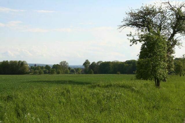 Auf dem Kirchberg. Foto: Markus Bachmann | Foto: Markus Bachmann