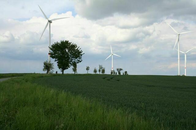 Auf dem Kirchberg. Foto: Markus Bachmann | Foto: Markus Bachmann