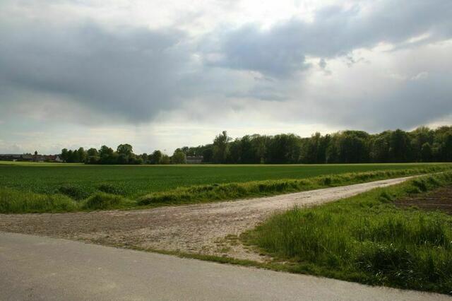 Münstedter Weg mit Anschlussweg zum Lafferder Busch (rechts). Foto: Markus Bachmann | Foto: Markus Bachmann