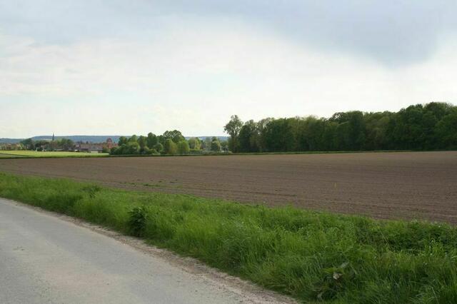 Blick vom nördlichen Teil des Münstedter Weges nach Süden. Links Südost-Teil  des Lafferder Busches. Foto: Markus Bachmann. | Foto: Markus Bachmann
