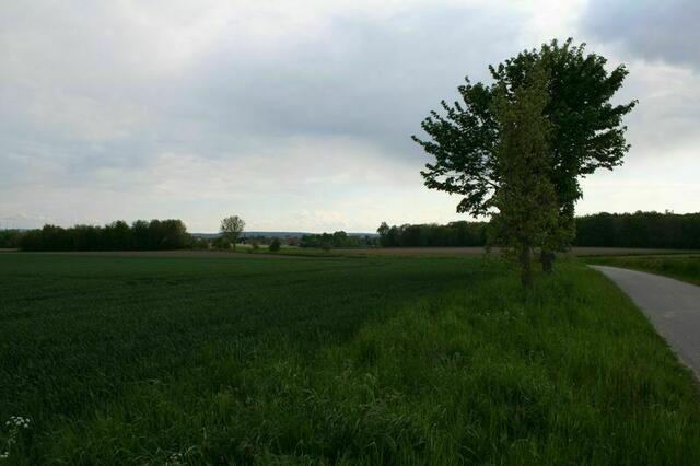 Auf dem Kirchberg. Foto: Markus Bachmann | Foto: Markus Bachmann