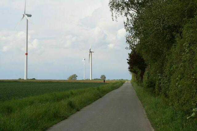 Münstedter Weg Richtung Kirchberg. Foto: Markus Bachmann | Foto: Markus Bachmann