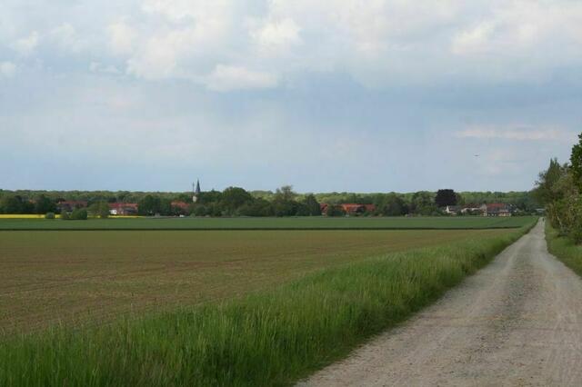 Münstedter Weg mit Blick nach Münstedt. Foto: Markus Bachmann. | Foto: Markus Bachmann
