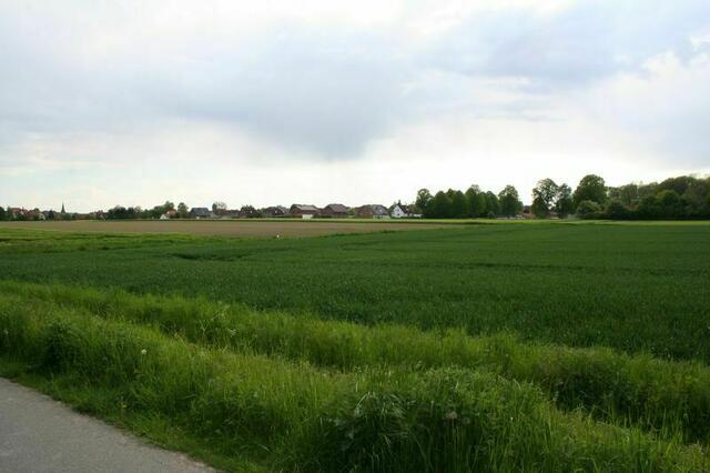 Münstedter Weg / Kirchberg mit Blick nach Südwesten. Foto: Markus Bachmann | Foto: Markus Bachmann