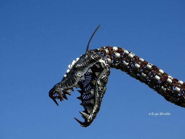 Suchbilder aus Hannover - wo habe ich dieses wilde Tier entdeckt? (Foto: Katja Woidtke) | Foto: Katja Woidtke