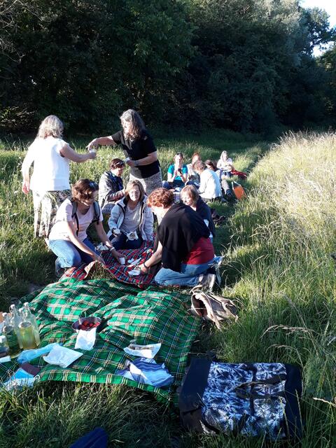 Kräuterwanderung mit Picknick | Foto: Birgitt Greppmair