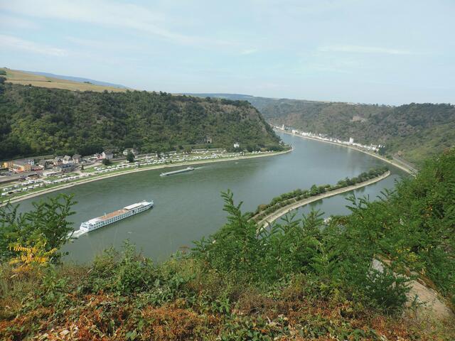 Blick von der Loreley