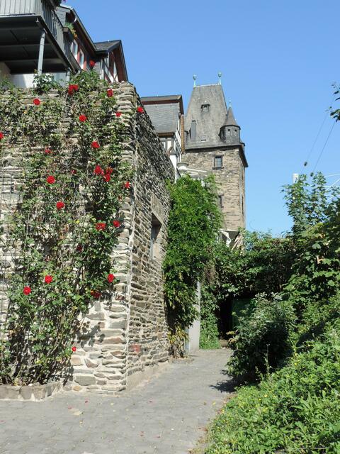 Bacharach