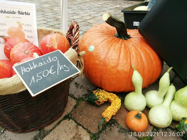 Querfurter Bauernmarkt und Treckertreffen 2021 mit O'Brian !