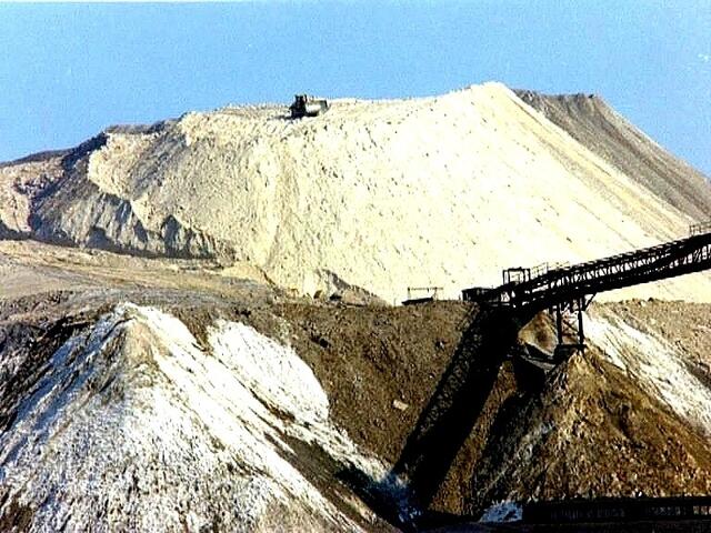 Auf dem Kaliberg im Jahr 1980.