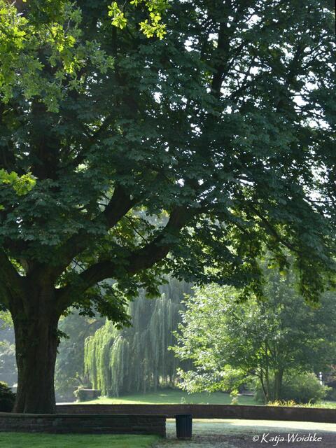 Spätsommer im Stadtpark Hannover (Foto: Katja Woidtke) | Foto: Katja Woidtke
