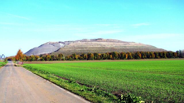 Blick vom Klein Bolzumer Weg auf die Südseite des Kaliberges im Jahr 2017.