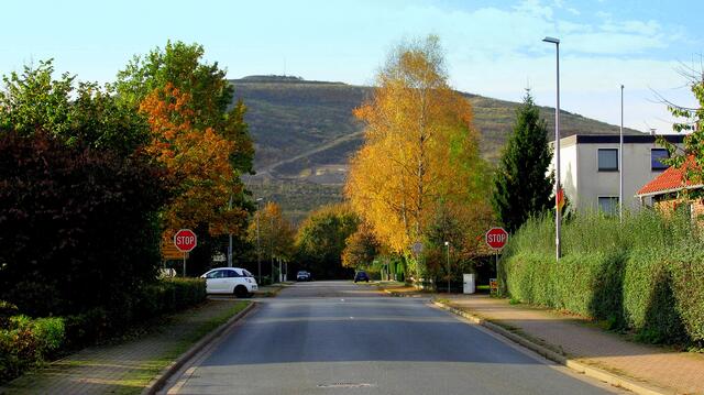 Blick von der Kurzen Straße auf die Ostseite des Kaliberges  im Jahr 2003.