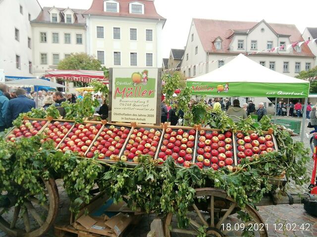 Querfurter Bauernmarkt und Treckertreffen 2021 mit O'Brian !
