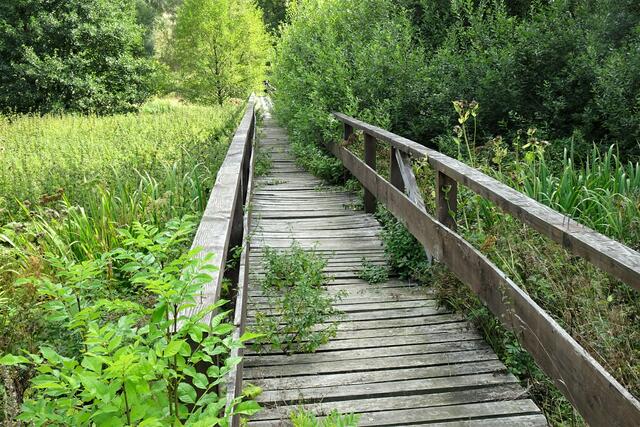 Luppbodebrücke -Teil des Hegemeister Meyer Weg. Der Wanderweg ist leider fast unpassierbar geworden.