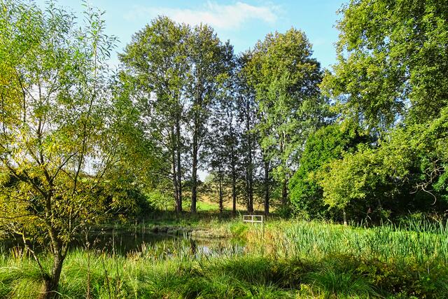 ehemalige Freibad Allrode
