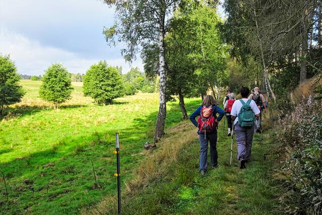Wanderweg am Sellbach (links an den Bäumen)