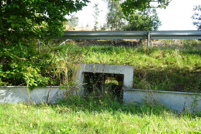 einer der vier Tunnel mit Schutzwänden, oben im Bild die Leitplanken an der L95