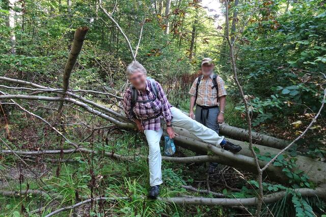 Hindernisse auf dem Wanderweg zur 1000 jährigen Eiche