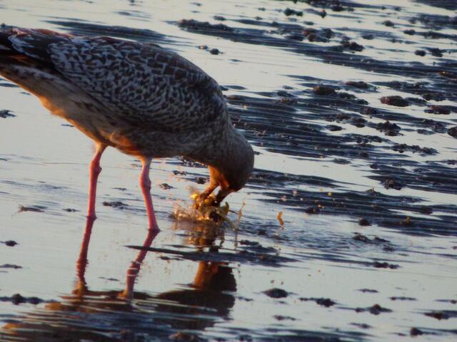 ........und gewaschen.