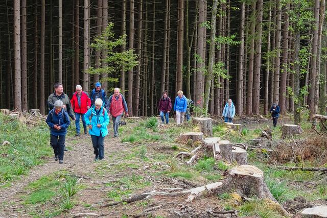 auf der Alten Braunlager Straße
