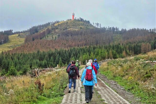 auf den Braunlager Fußweg im Hintergrund der Wurmberg