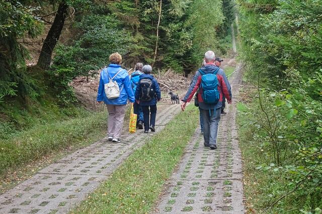 auf dem Harzer Grenzweg