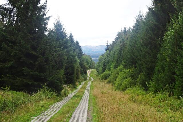 Harzer Grenzweg im Bremketal