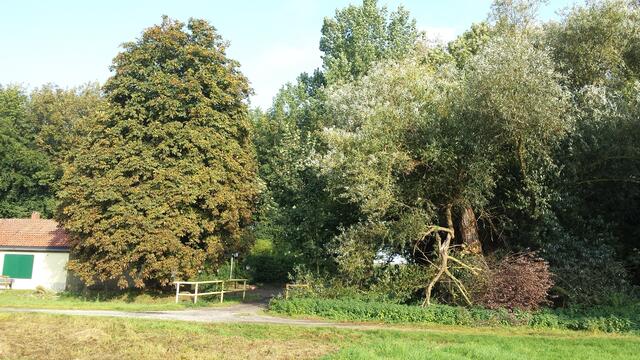 Links im Bild Teil des Schützenhauses, rechts ehemaliges Aschenbergsgelände