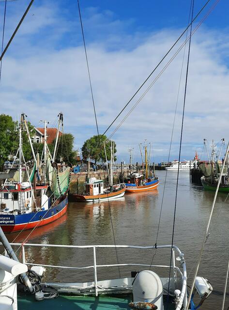 Neuharlingersiel | Foto: O. Hamel