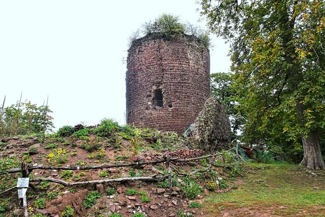 der wuchtige Bergfried mit über 4,5 m starken Mauern. In der Mitte bleibt ein Raumdurchmesser von weniger als 4 m. Da sich der Aufenthaltsraum über mehrere Etagen erstreckte mussten zusätzlich Treppen bzw. Leitern in den schmalen Räumen vorhanden gewesen sein.