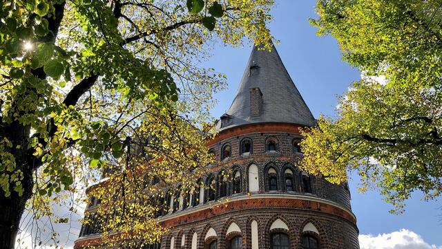 Vor dem Holstentor beginnen die alten Linden bereits mit ihrer Laubverfärbung. Das leuchtend gelbgrüne Blattwerk bietet einen herrlichen Kontrast zu den warmen Farbtönen des historischen Bauwerks. Foto: Helmut Kuzina