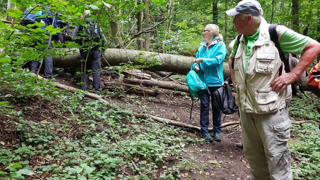 Wo bleibt der Rest der Wanderer