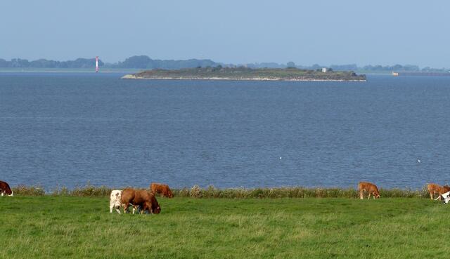 Blick auf die ebenfalls künstliche Insel Langlütjen II