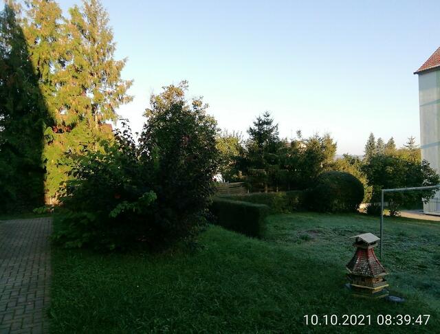 Der erste Frost in Nebra - Temperaturen: Nachts minus 0,3° / 11:11 7,7° / 14:17 12,8° / in der Sonne 15:43  33,1 ° 10.10.2021 !!! Sonntagsbilder 2021 !!!