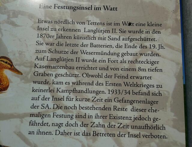 Alles über Langlütjen II